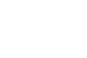 Dish Network logo
